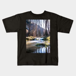 Forest River Waterfall Kids T-Shirt